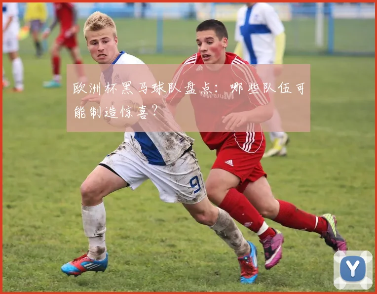 欧洲杯黑马球队盘点：哪些队伍可能制造惊喜？